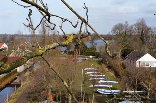 Waterscouting gouda terrein 2