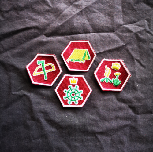 Vaardigheidsinsigne verkenners